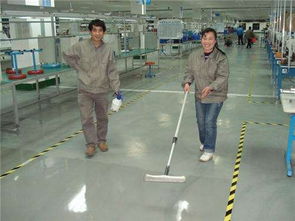 上海楊浦機(jī)房保潔與室內(nèi)保潔服務(wù)專家 選擇物美，享受專業(yè)、放心的潔凈體驗