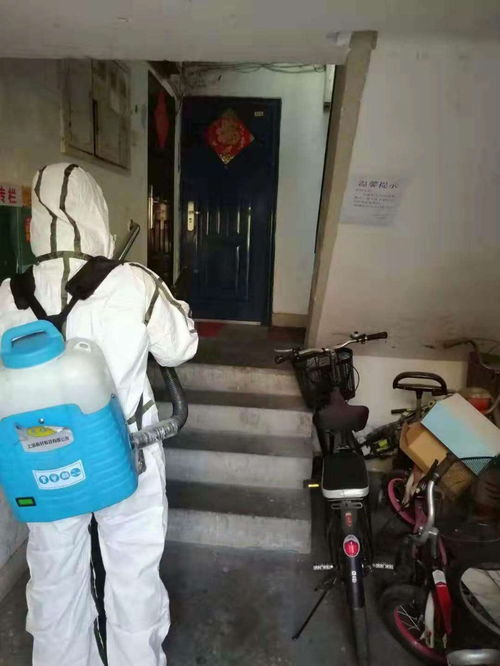 深圳室內(nèi)消毒滅菌服務(wù) 專業(yè)守護(hù)家居、校園與商業(yè)空間的健康環(huán)境